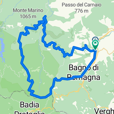 casentino forestale