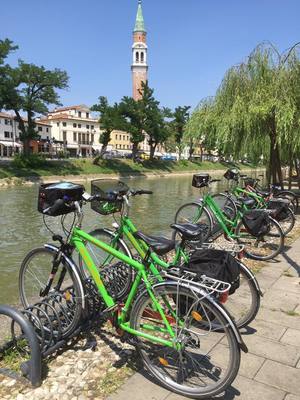 Highlight 16 along the Bikemap route "VENICE COUNTRY BIKE TOUR"