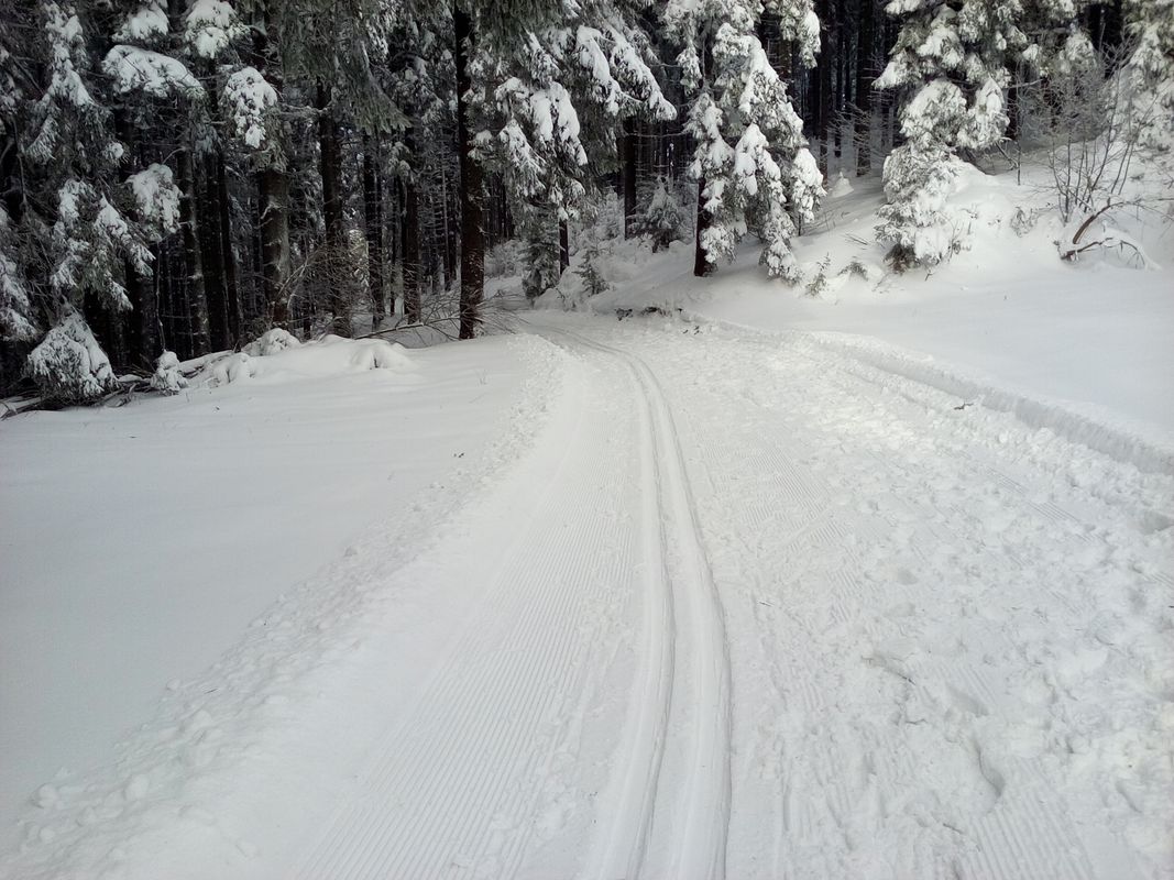 Bežky december 2016