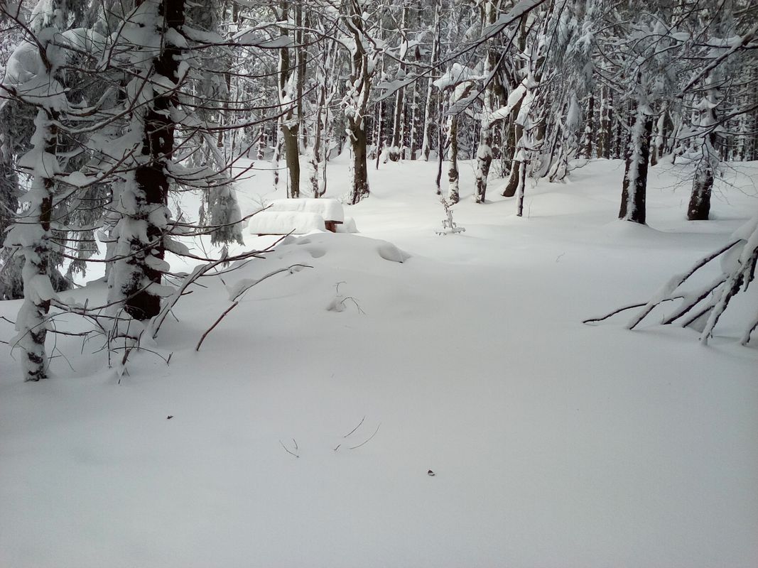 Bežky december 2016