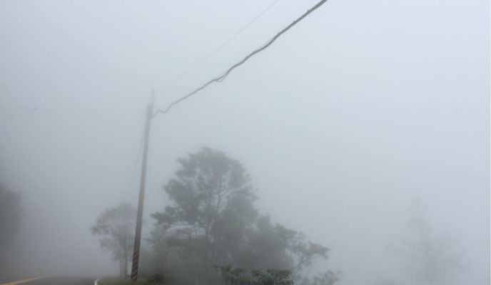 Photo 2 of the Bikemap route "Walk Through 東眼山"