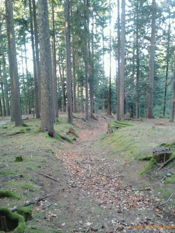 #blackpeak pesnik1