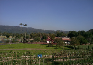 Highlight 3 along the Bikemap route "Lengthy bike tour from Xinpu to 竹北市 (Zhubei City)" Highlight 3 along the Bikemap route "Lengthy bike tour from Xinpu to 竹北市 (Zhubei City)"