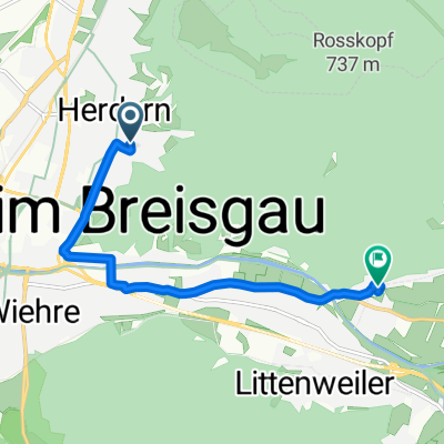 Brief bike tour through Freiburg im Breisgau