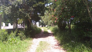 Punto saliente 1 lungo il percorso Bikemap "ride through Rio Claro" Punto saliente 1 lungo il percorso Bikemap "ride through Rio Claro"