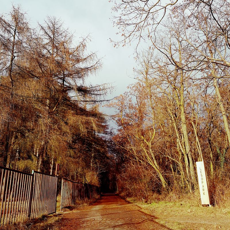 Nový Lískovec - Kohoutovice - obora Holedná - Jundrov - Bystrc, pěšky