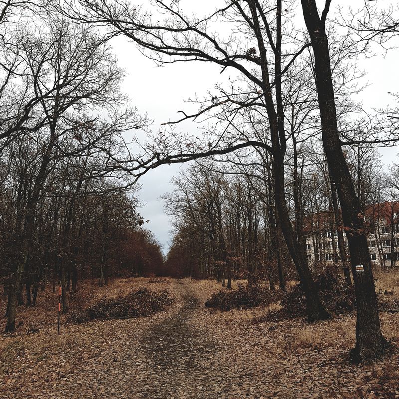 Nový Lískovec - Kohoutovice - obora Holedná - Jundrov - Bystrc, pěšky