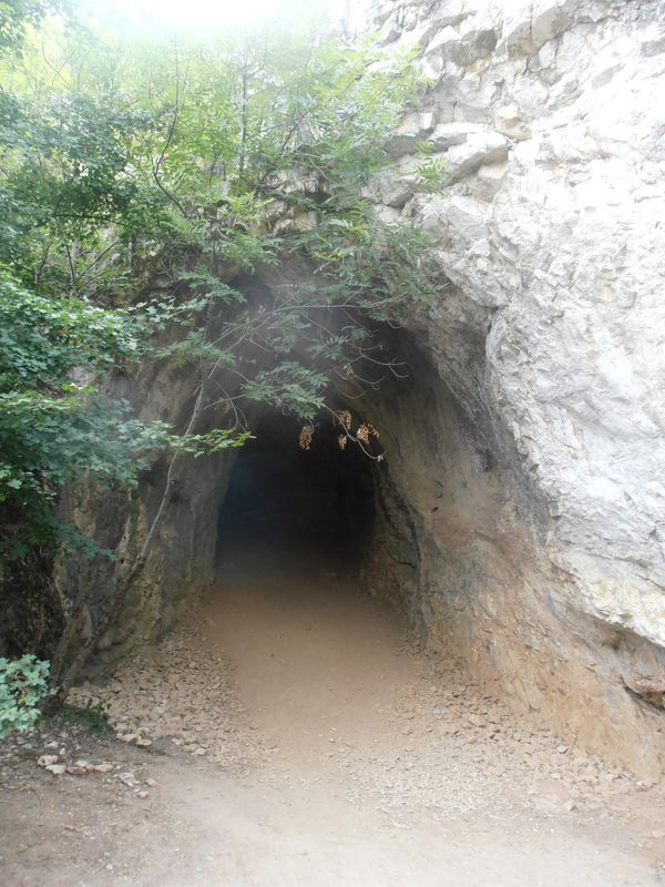 Bükkalja kör