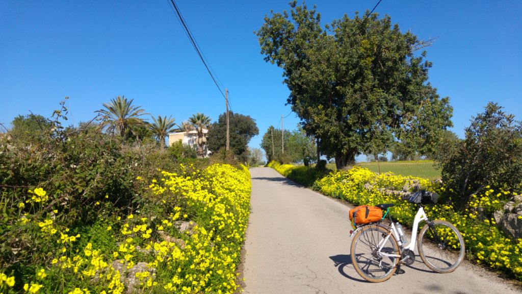 Mallorca: de sud a nord, cap de ses Salines-cala Sant Vicenç