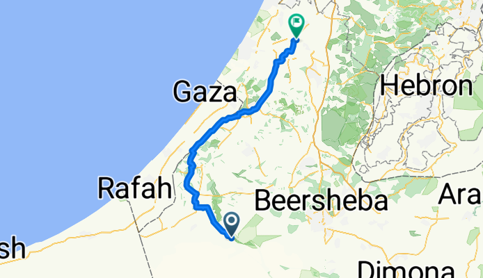 israel D3