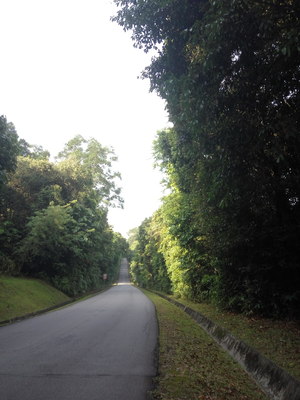 Highlight 8 along the Bikemap route "bike tour to lower and upper Peirce Reservoir"