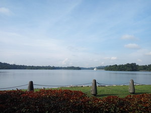 Highlight 9 along the Bikemap route "bike tour to lower and upper Peirce Reservoir"