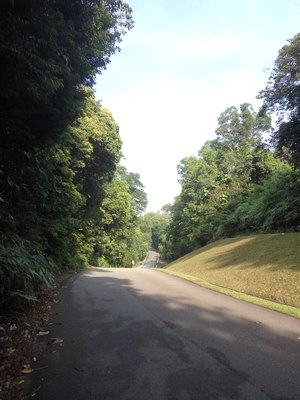 Highlight 7 along the Bikemap route "bike tour to lower and upper Peirce Reservoir"
