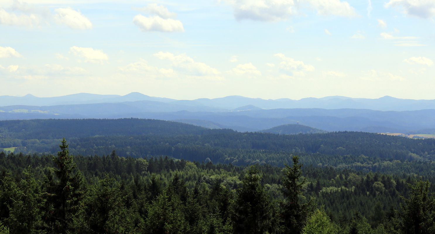 Hoher Schneeberg (Děčínský Sněžník)