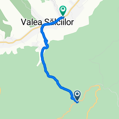 dealul istrita - salcia - valea salciilor