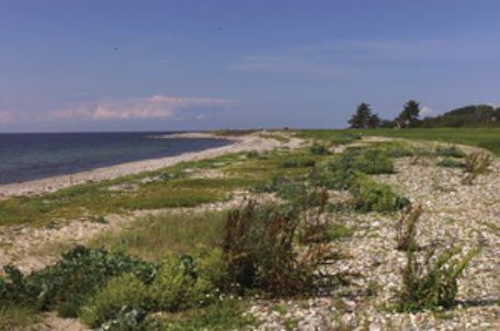 Punto saliente 4 lungo il percorso Bikemap "12_Hohwacht – Heiligenhafen – Burg auf Fehmarn"