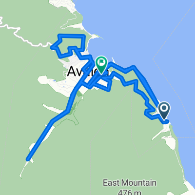 bike tour through Avalon