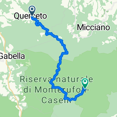querceto Fattoria 100 stanze
