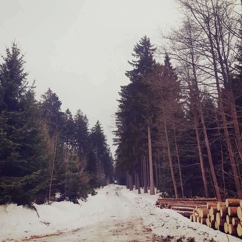Ždírec nad Doubravou - Žďár nad Sázavou, pěšky