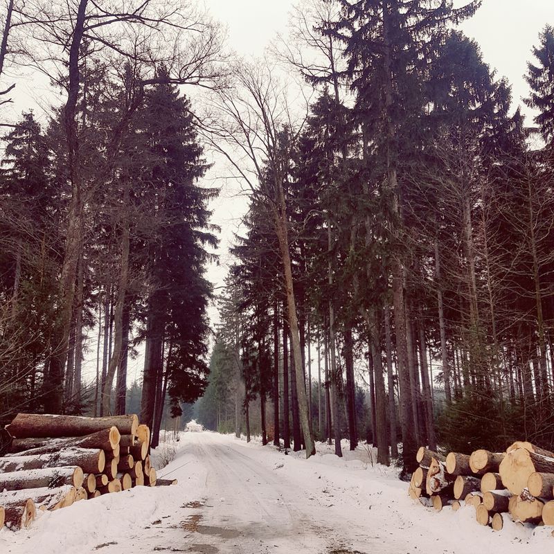 Ždírec nad Doubravou - Žďár nad Sázavou, pěšky
