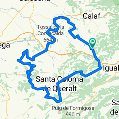 COPONS