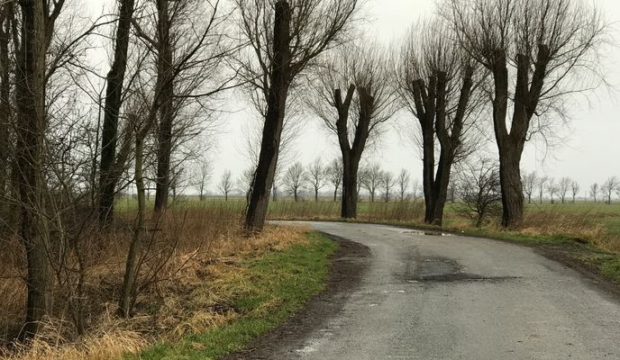 Foto 1 der Bikemap-Route "Lange Radrunde von Moormerland nach Norden"