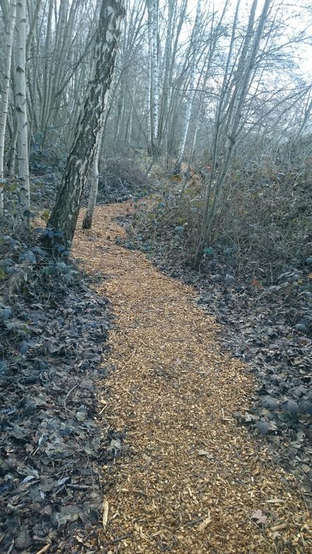 bike tour through Maasgouw