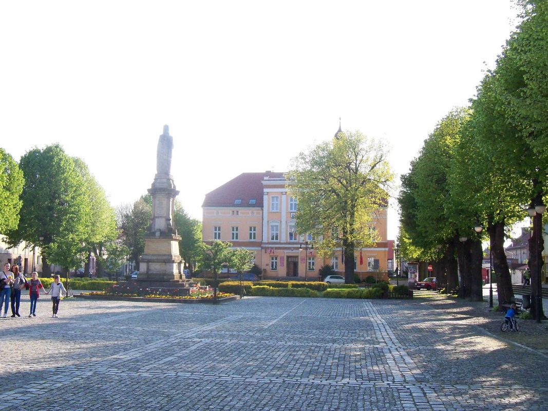 Mieszkowice - Chojna