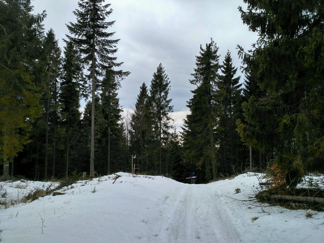 Zlata Idka - Jahodna
