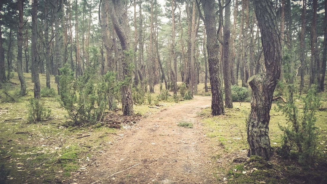MTB Łomianki - Pętla wokół Izabelina