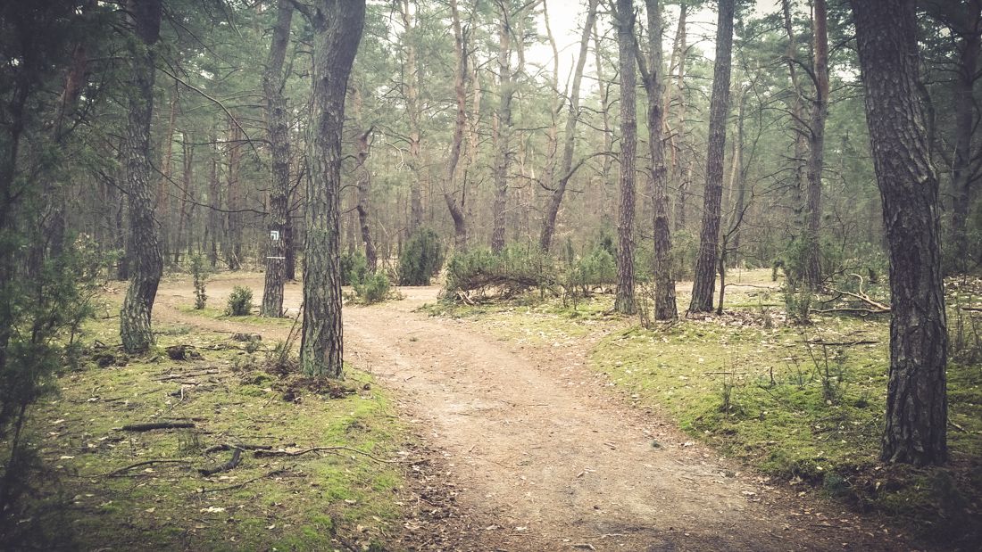MTB Łomianki - Pętla wokół Izabelina