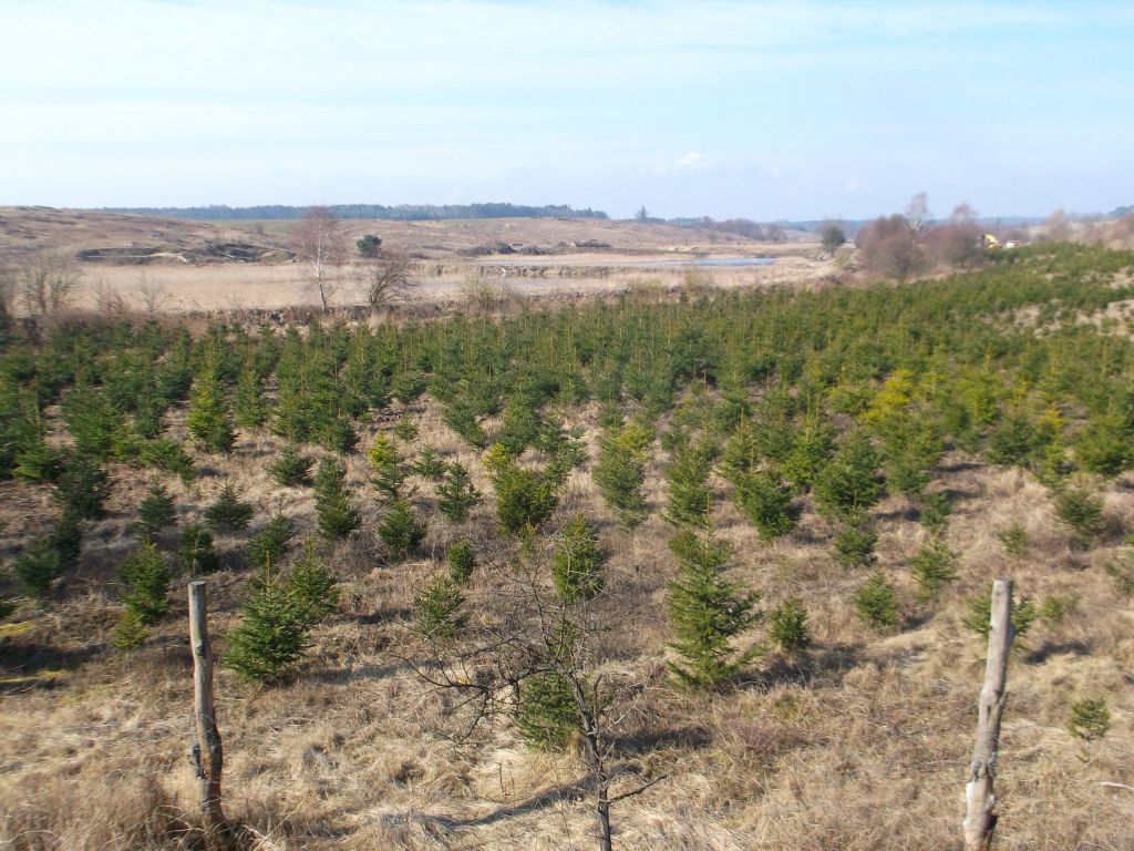 52 km