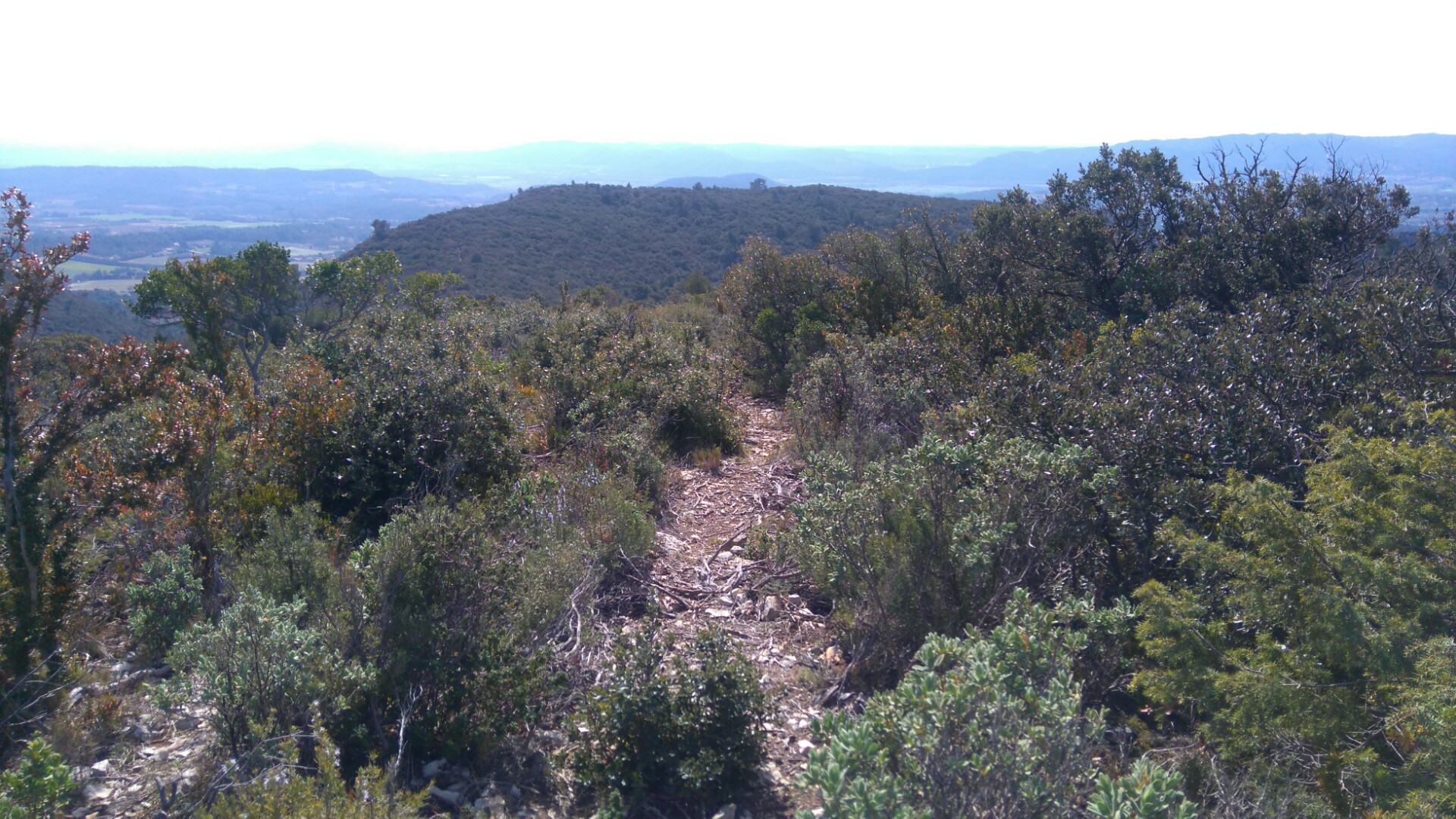 Lourmarin det 9 mars 11:13