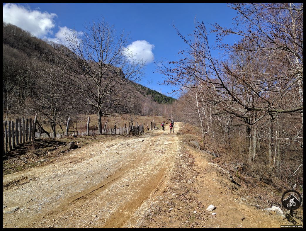 Downhill Vaidei