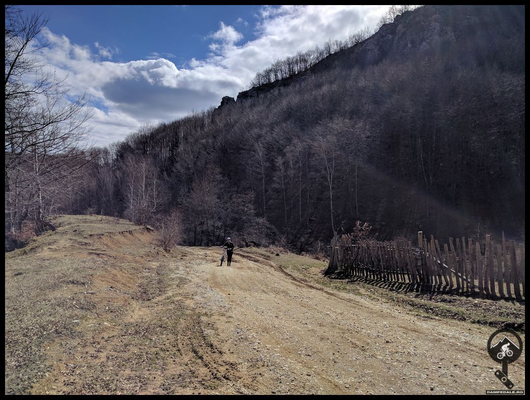 Downhill Vaidei