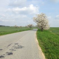 Foto 7 der Bikemap-Route "Wien - Berlin"