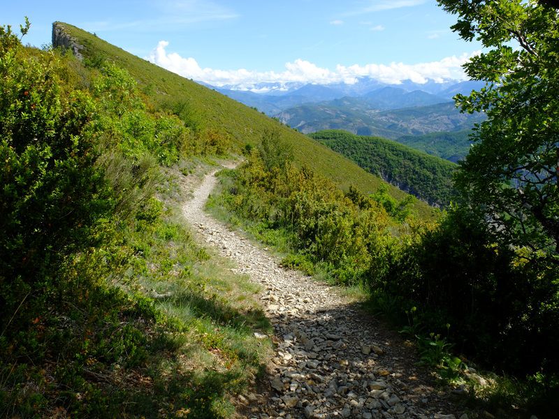 Digne - Tartonne
