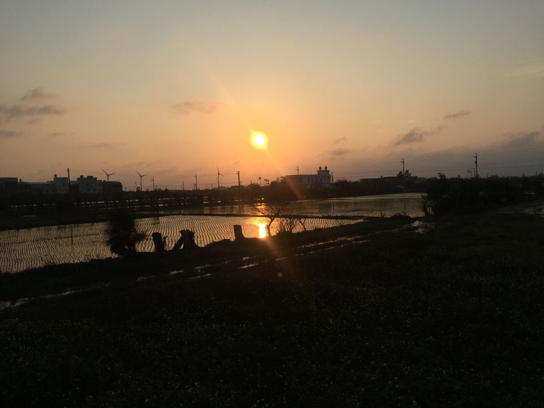 ride from 新埔鎮 to 通霄鎮