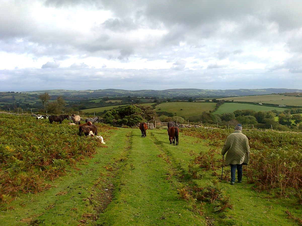 Dartmoor Chagford to Bovey Tracey Circular Cycling Route 🚲 Bikemap