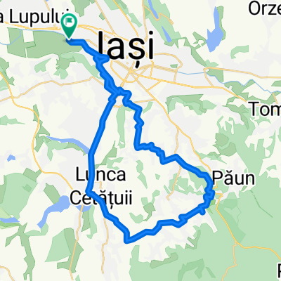 Iasi - Bucium - Iasi