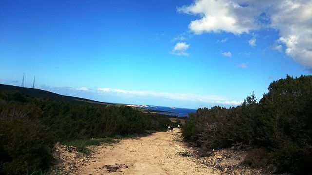 Biking - Kormacit - White trail