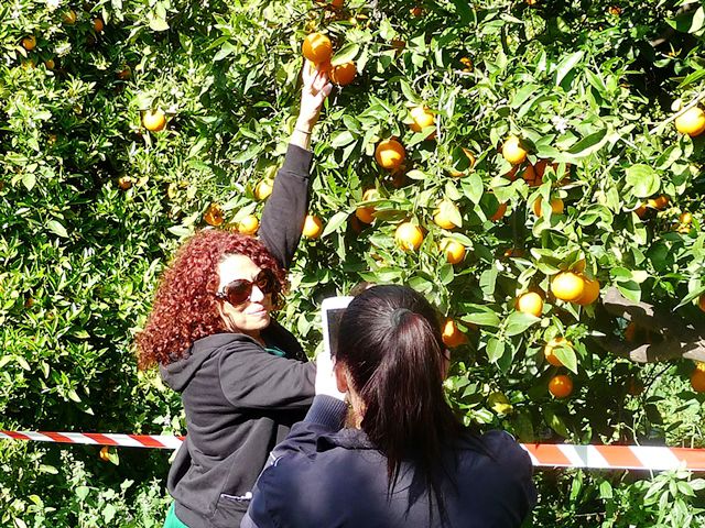 Biking - Kormacit - Purple trail