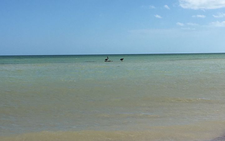 Point fort 1 sur l’itinéraire Bikemap « Morning Walk In Progreso »