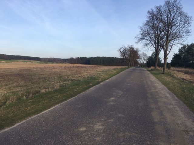 północ Lubina