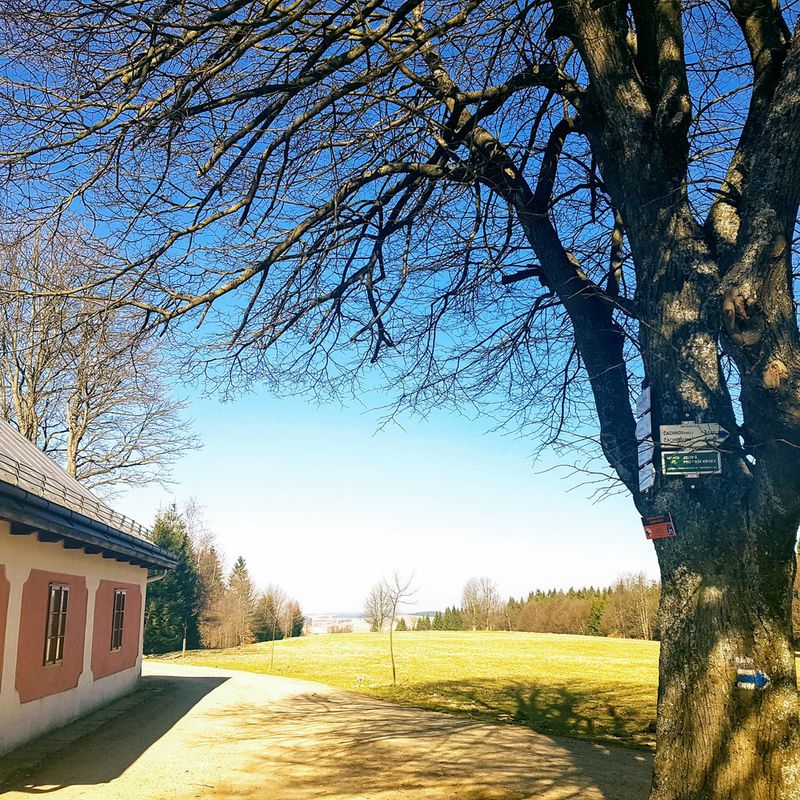 Svratka - Nové Město na Moravě, pěšky