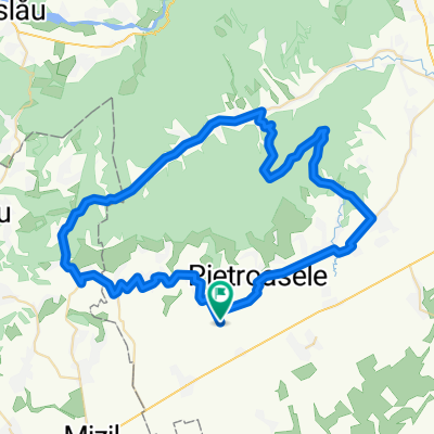 Mizil v2