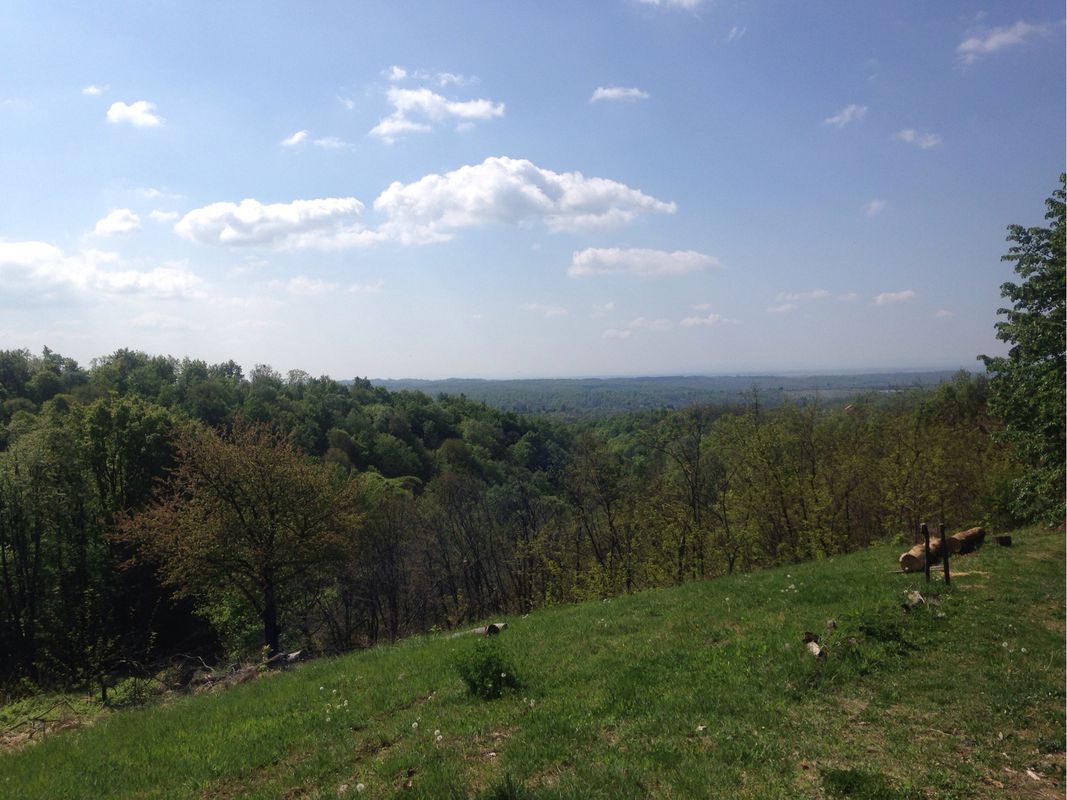 Moslavina