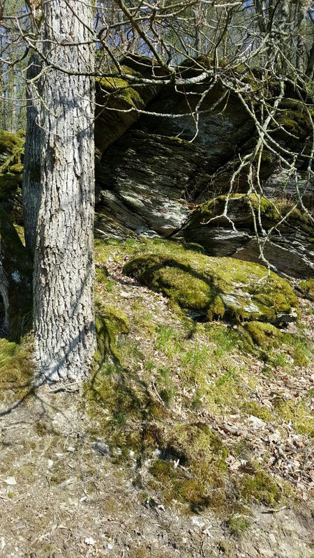 steine im taunus