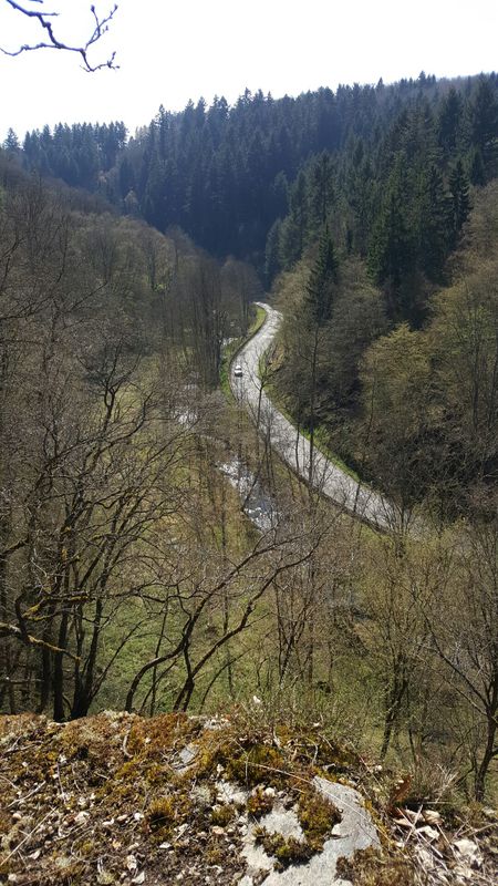 steine im taunus