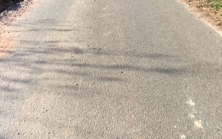 Destacado 1 en la ruta de Bikemap "Schnelle Ausfahrt von Dreieich nach Neu-Isenburg"